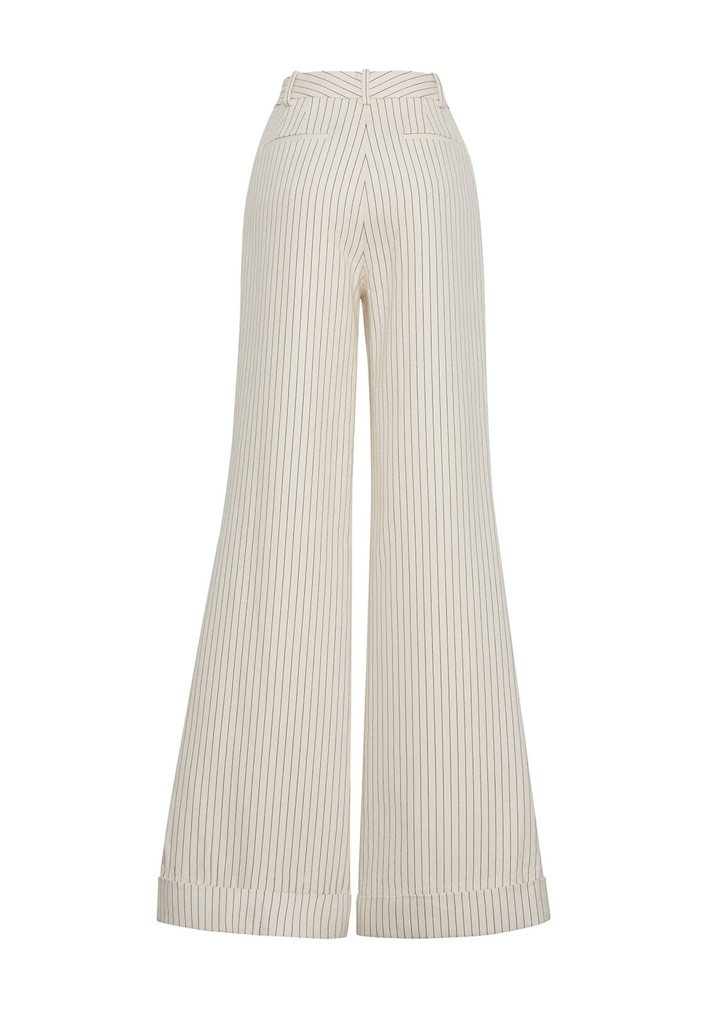 back ghost image of Deeda Pant in Pinstripe Twill in Canvas/Indigo